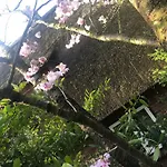 Apartment Buechertraeume